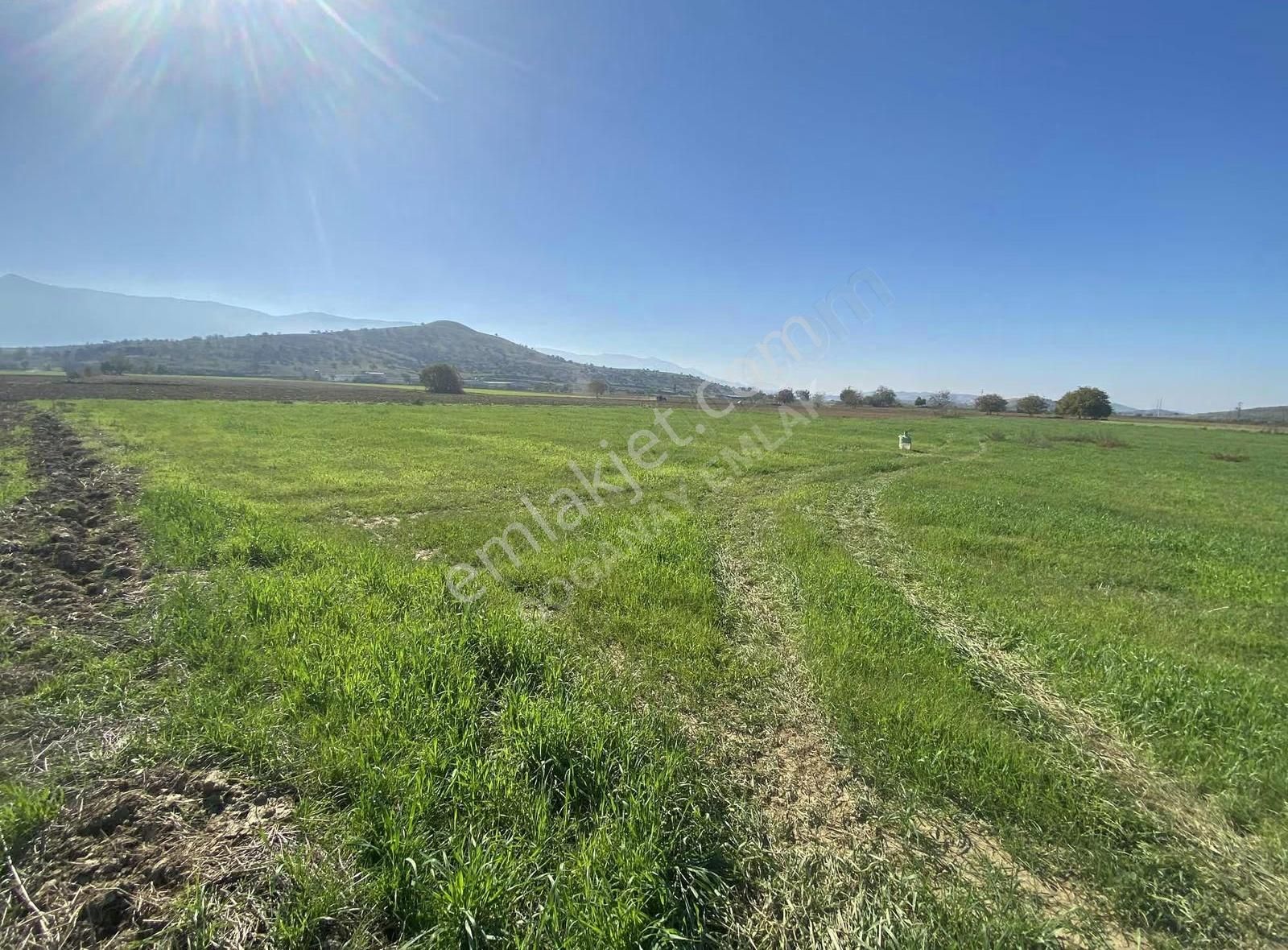 Doğanay Emlaktan Satılık Tarla - Görsel 13