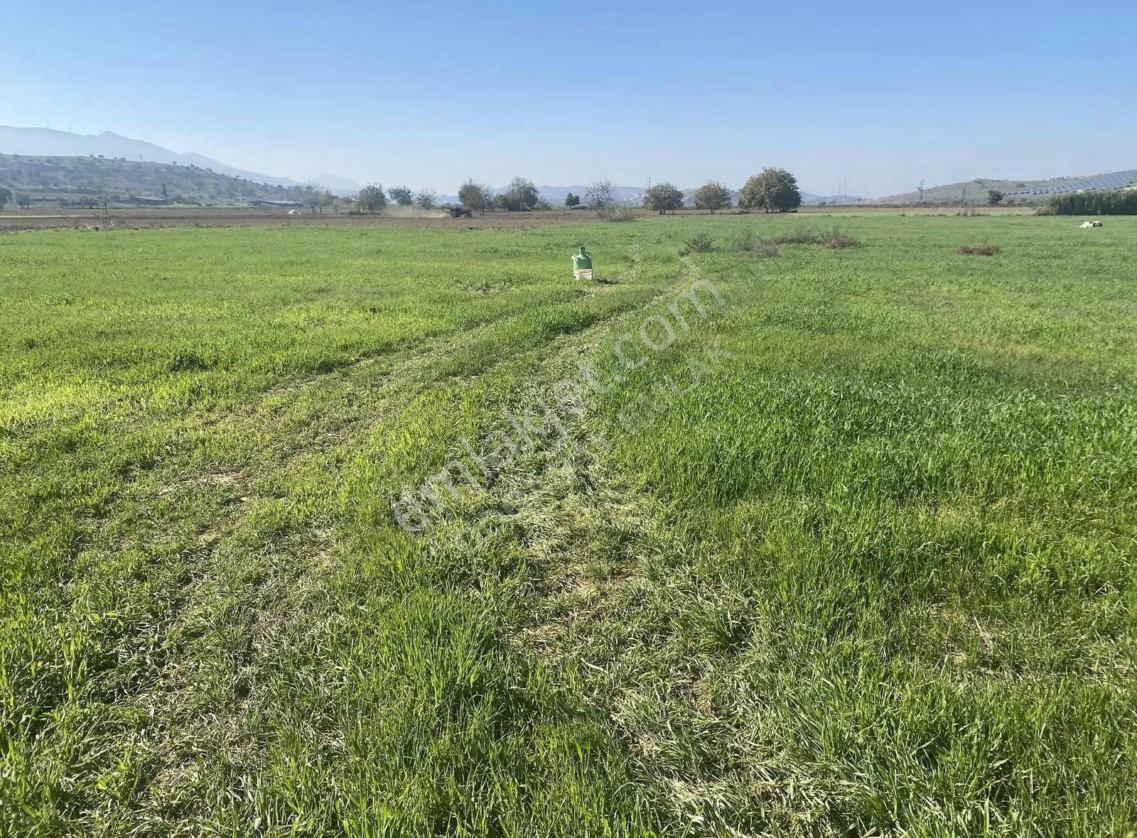 Doğanay Emlaktan Satılık Tarla - Görsel 22