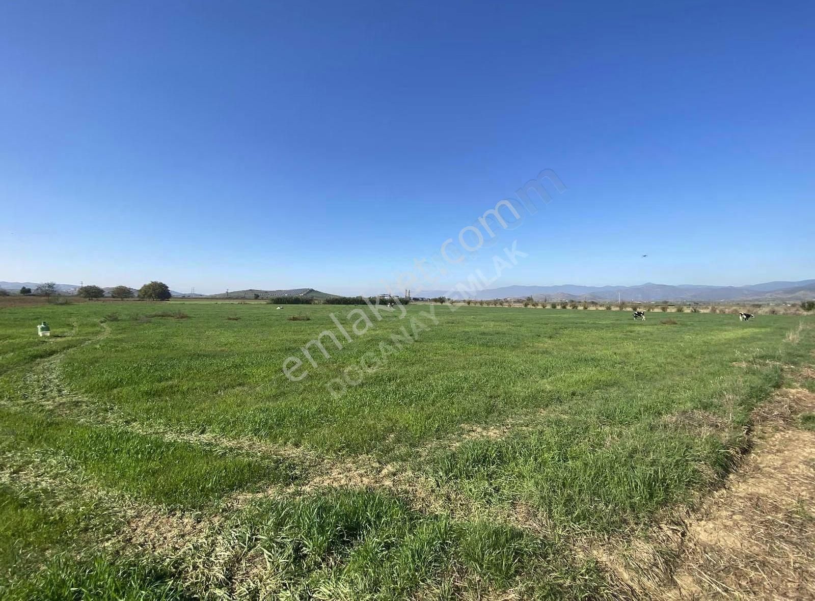 Doğanay Emlaktan Satılık Tarla - Görsel 19