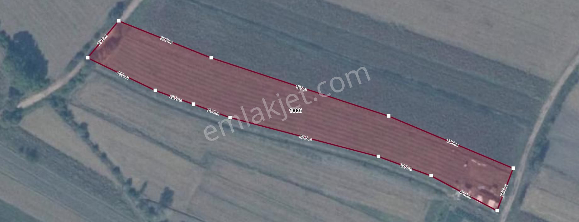 Sögütlü'de Satılık 5 Yaşında Aronya Bahçesi - Görsel 2