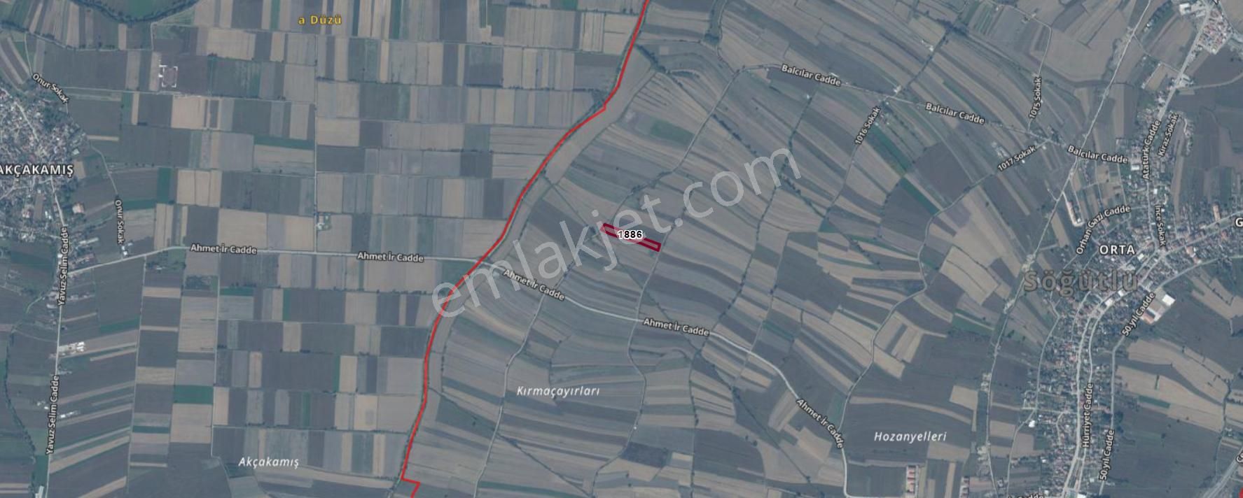 Sögütlü'de Satılık 5 Yaşında Aronya Bahçesi - Görsel 4