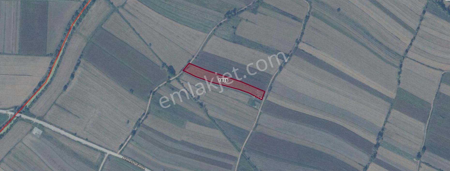 Sögütlü'de Satılık 5 Yaşında Aronya Bahçesi - Görsel 3