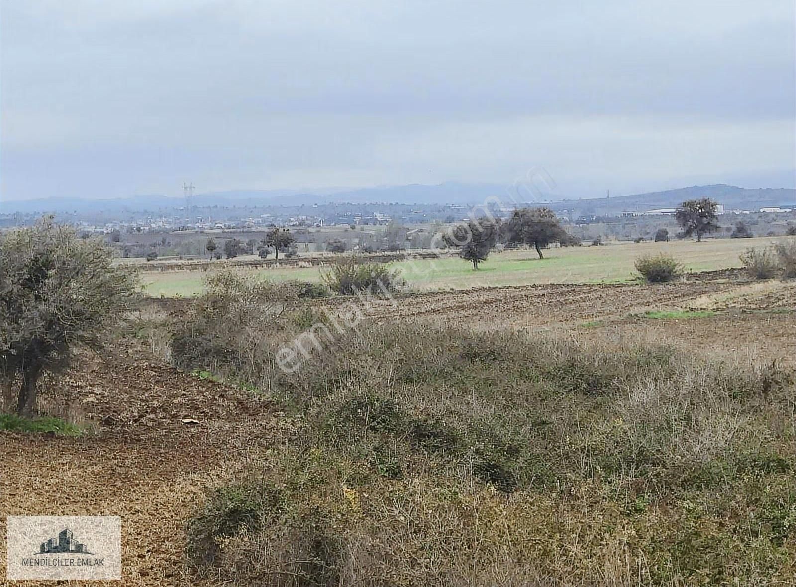 Eski Balıklıda Köy Merkezine Çok Yakın Verimli Düz Arazi.. - Görsel 9