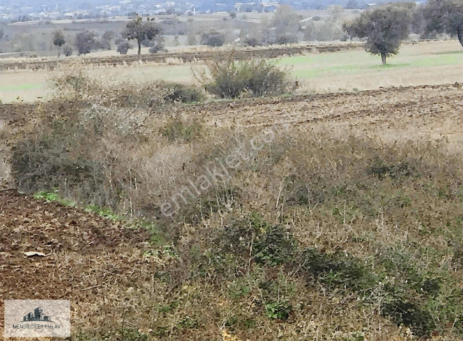 Eski Balıklıda Köy Merkezine Çok Yakın Verimli Düz Arazi.. - Görsel 2