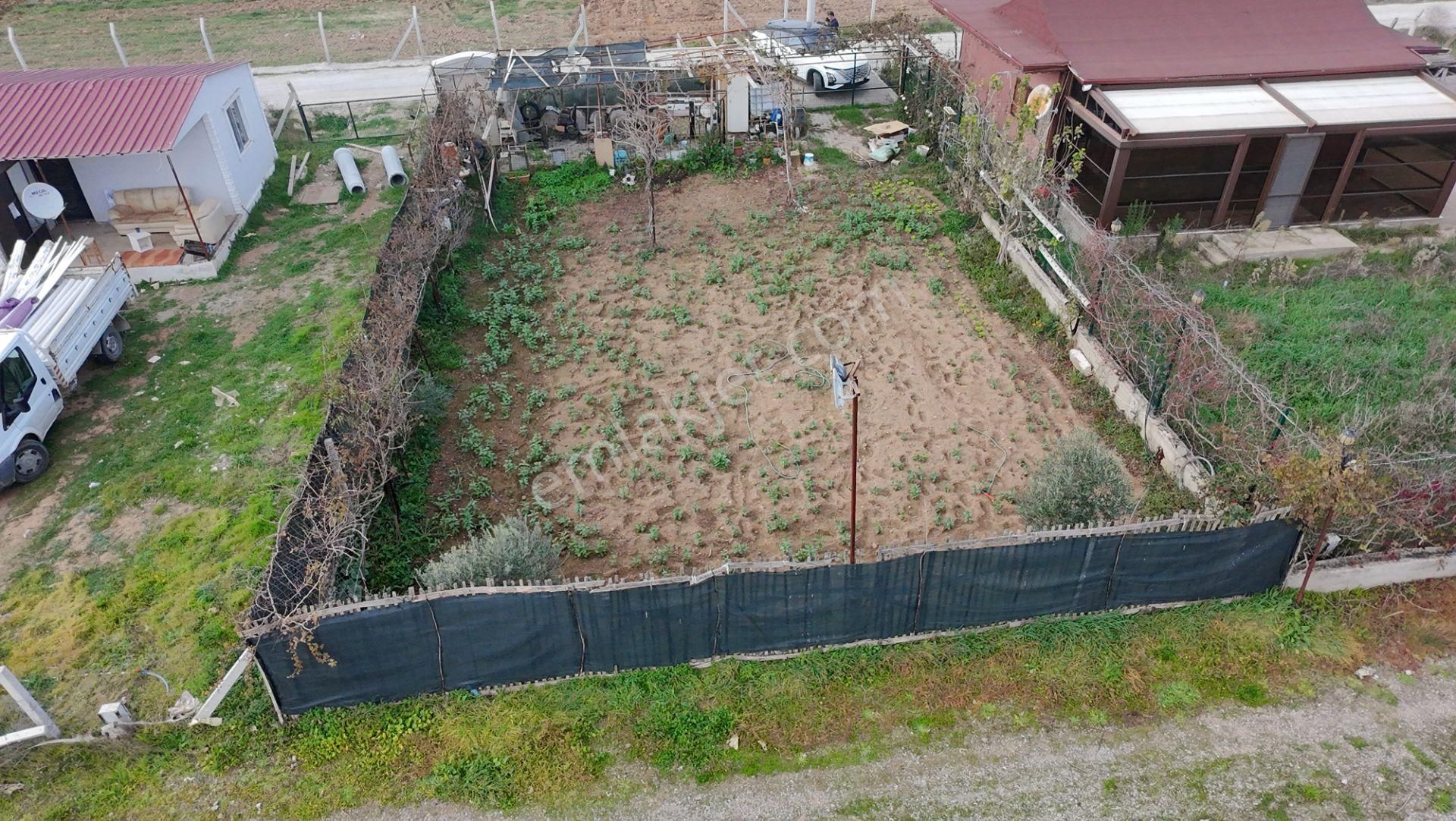 Menderes Develi’de Ana Yola Cepheli, 300 M² Hobi Bahçesi – Su & Elektrik Hazır, Araç Girişli - Görsel 6