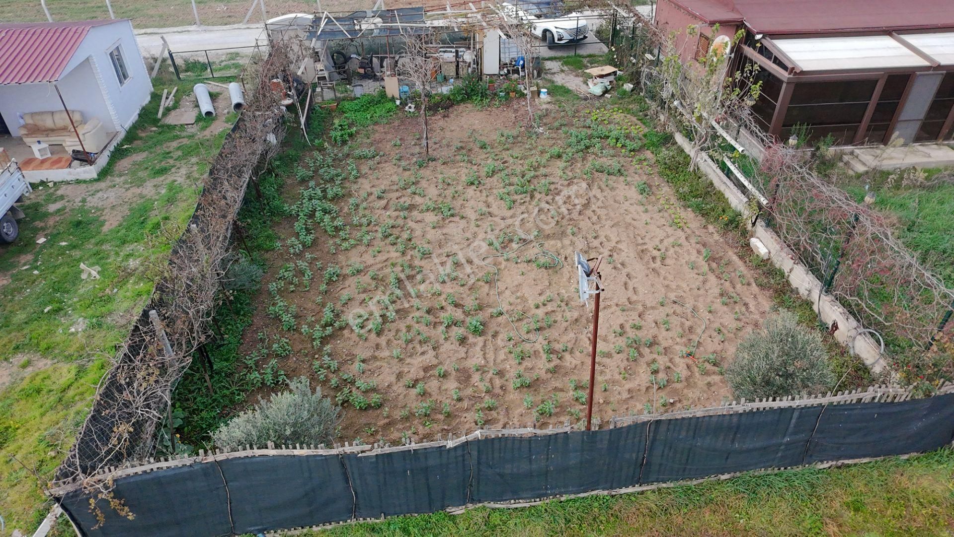 Menderes Develi’de Ana Yola Cepheli, 300 M² Hobi Bahçesi – Su & Elektrik Hazır, Araç Girişli - Görsel 10