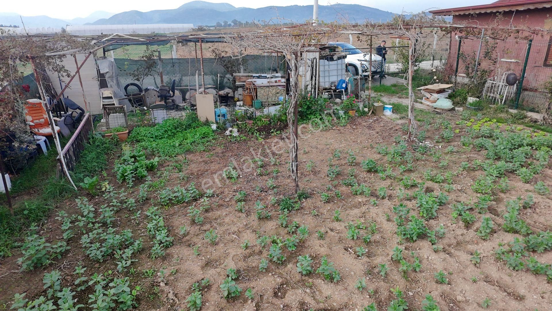 Menderes Develi’de Ana Yola Cepheli, 300 M² Hobi Bahçesi – Su & Elektrik Hazır, Araç Girişli - Görsel 16