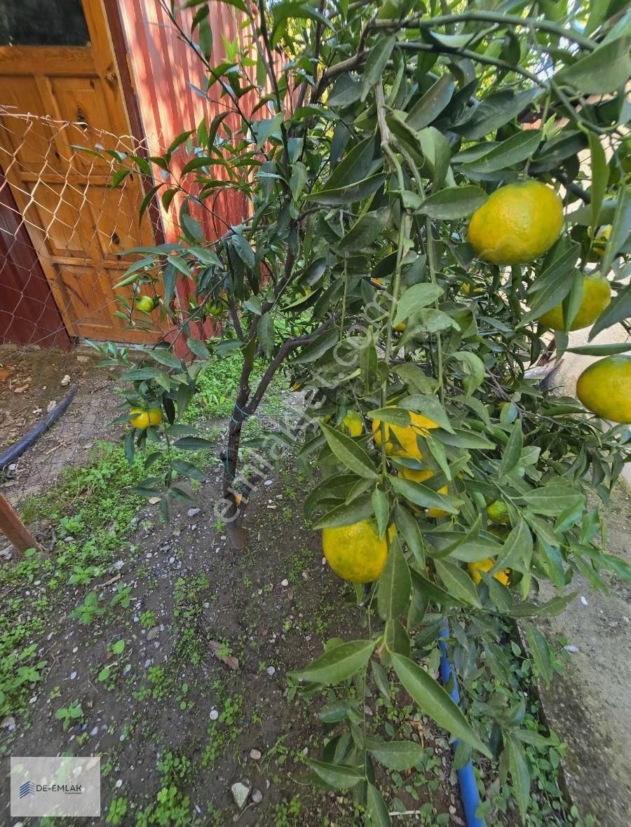 Ortacada Satılık Müstakil Ev - Görsel 14