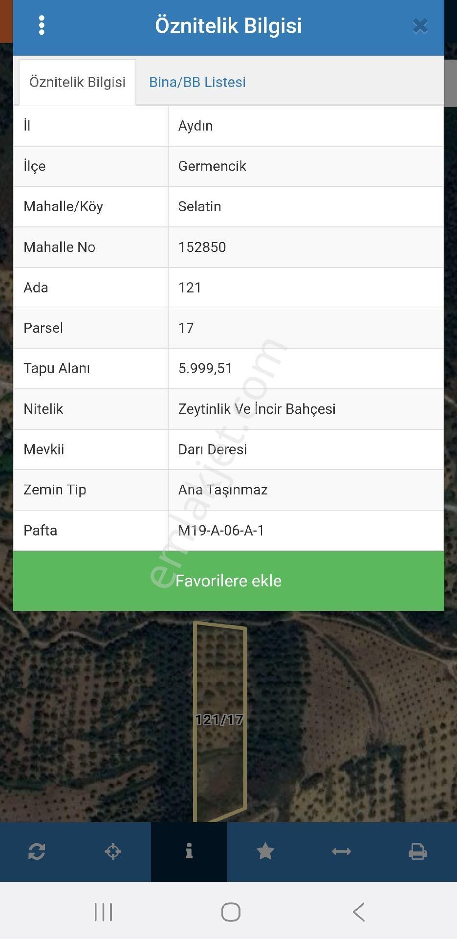 Aydın Germencik Selatin'de 5.999 M2 Uygun Zeytin Ve İncir Bahçesi. Açıklamayı Okuyarak Arayınız. - Görsel 5