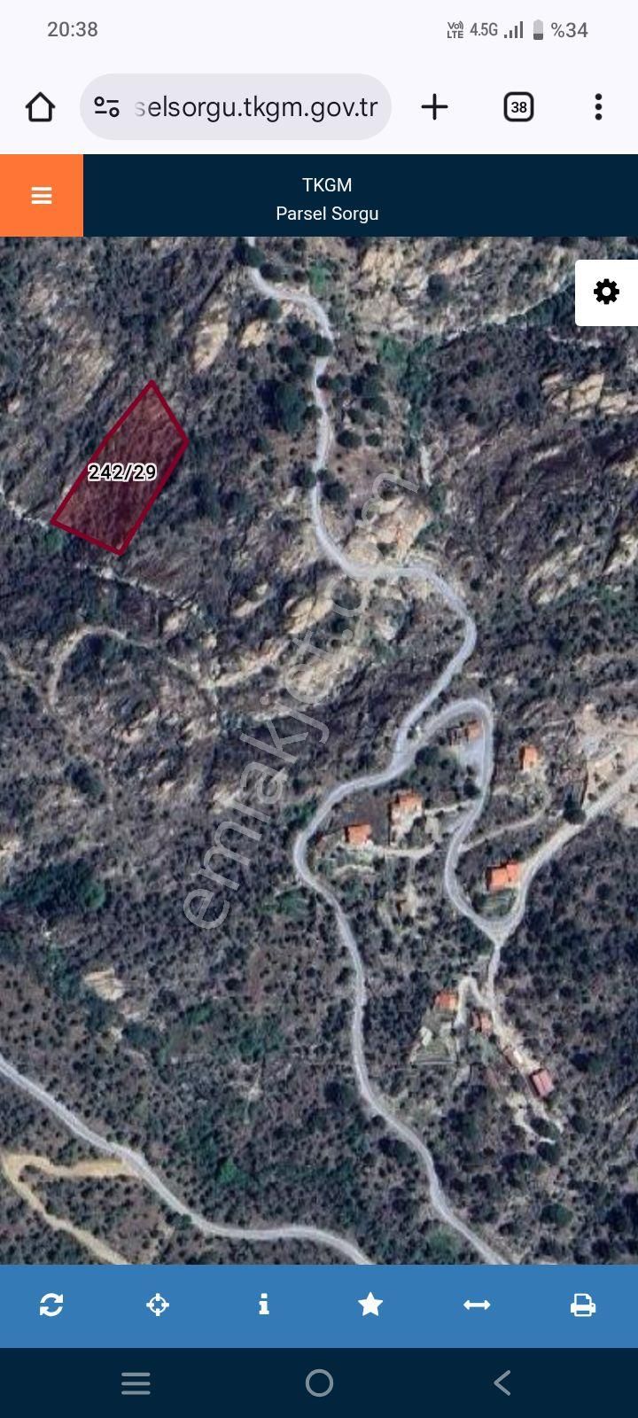 Muğla Milasta 3428 M Zeytinlik - Görsel 3