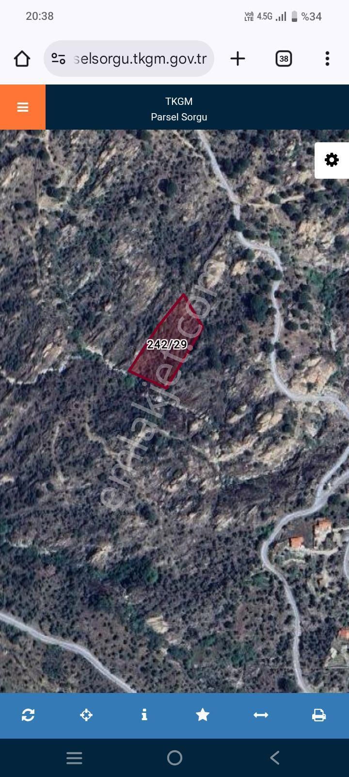 Muğla Milasta 3428 M Zeytinlik