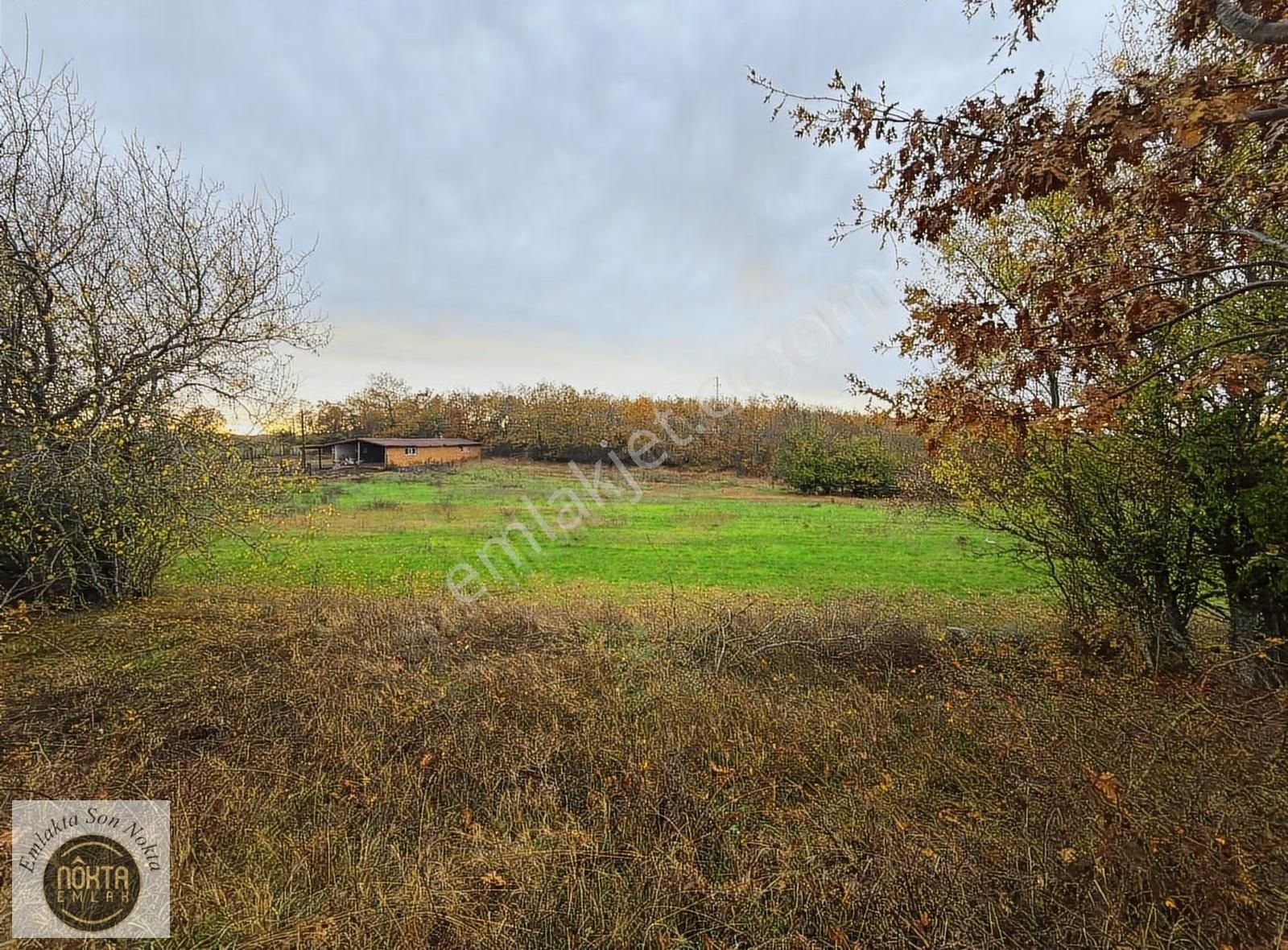 Nokta Emlaktan Kapaklı Köyünde 2.200 M² Villa İmarlı Yatırımlık - Görsel 15