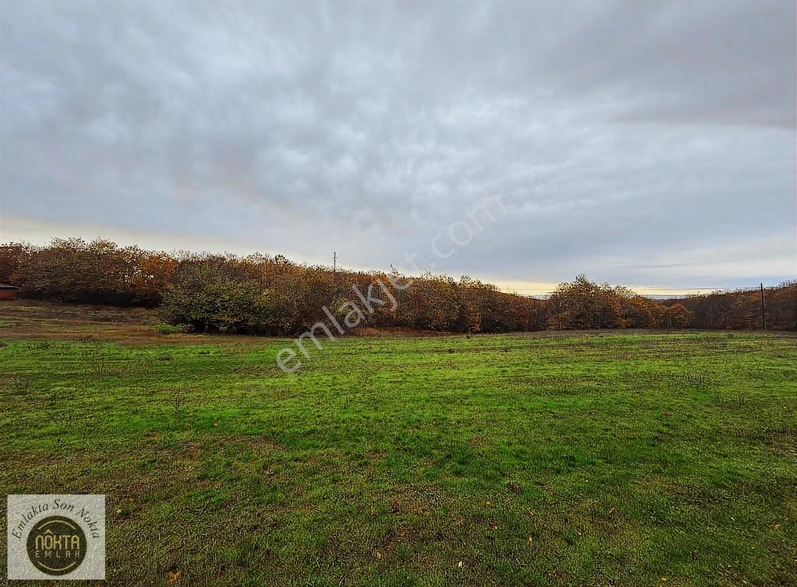 Nokta Emlaktan Kapaklı Köyünde 2.200 M² Villa İmarlı Yatırımlık - Görsel 20