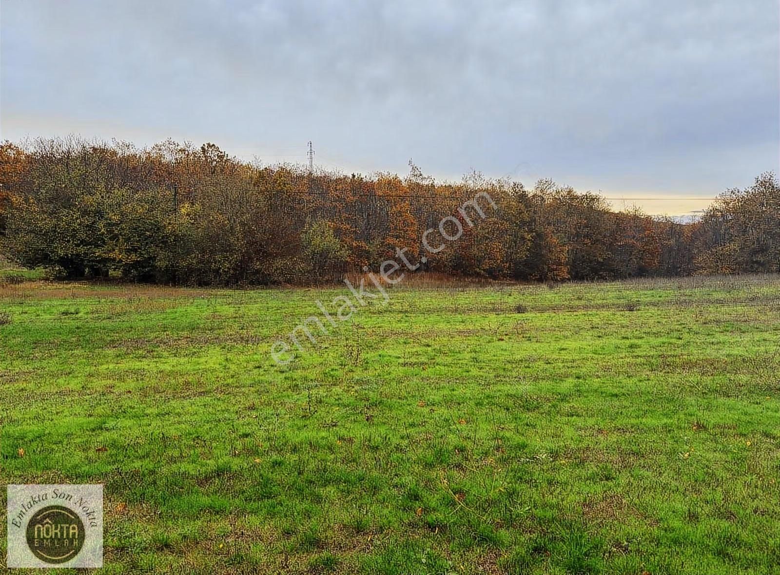 Nokta Emlaktan Kapaklı Köyünde 2.200 M² Villa İmarlı Yatırımlık