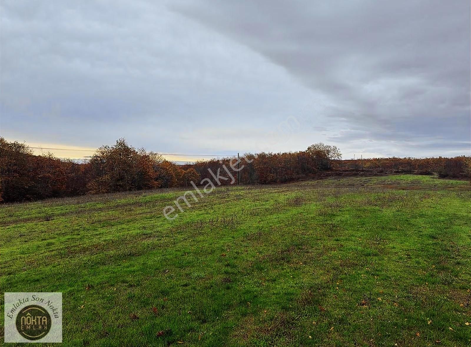 Nokta Emlaktan Kapaklı Köyünde 2.200 M² Villa İmarlı Yatırımlık - Görsel 2