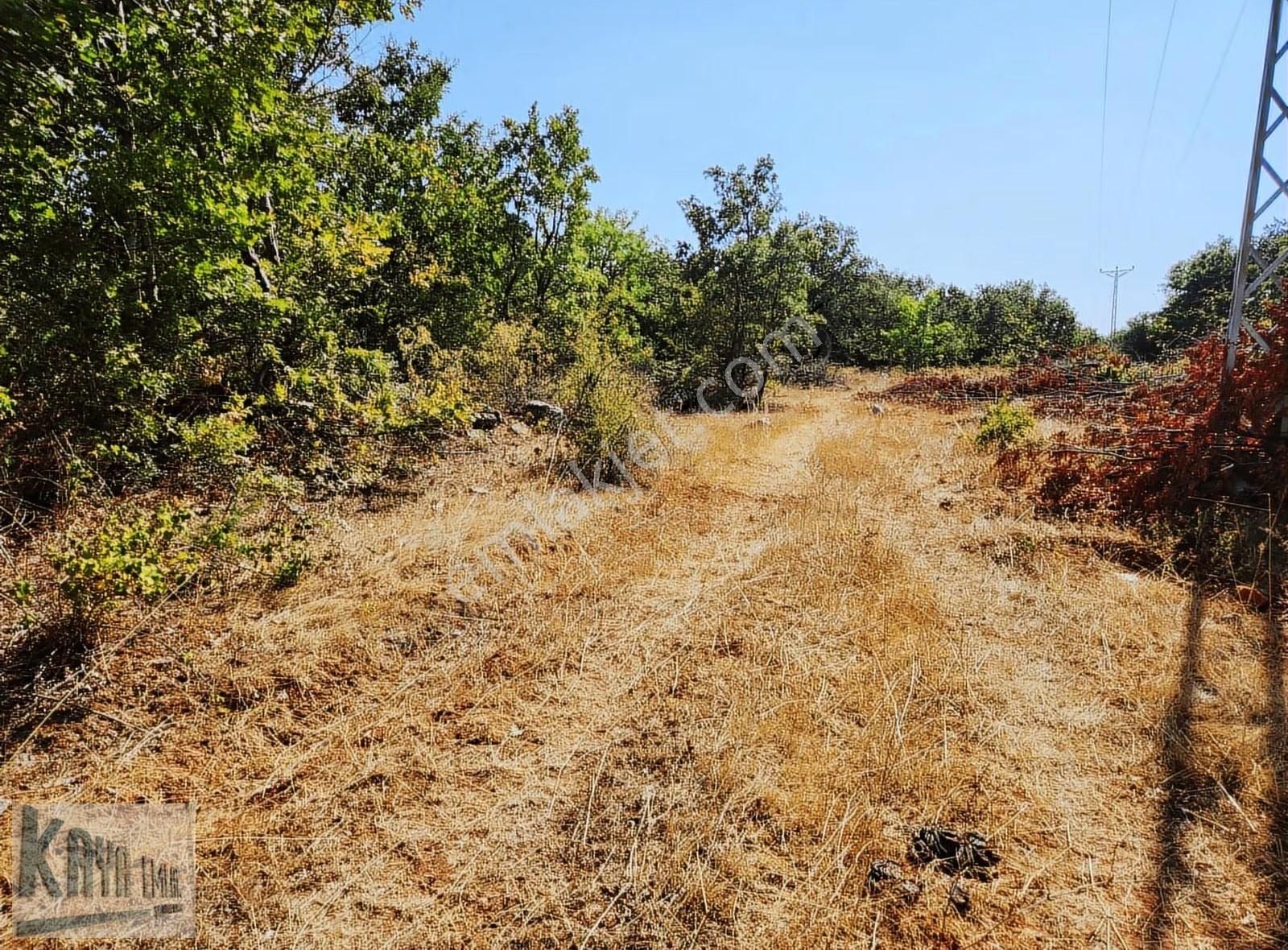 Satılık Çanakkale Yenicede 3247 M2 Güzel Düz Tarla - Görsel 2