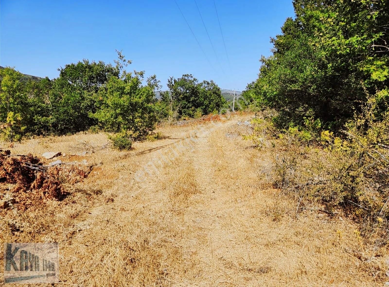 Satılık Çanakkale Yenicede 3247 M2 Güzel Düz Tarla - Görsel 4