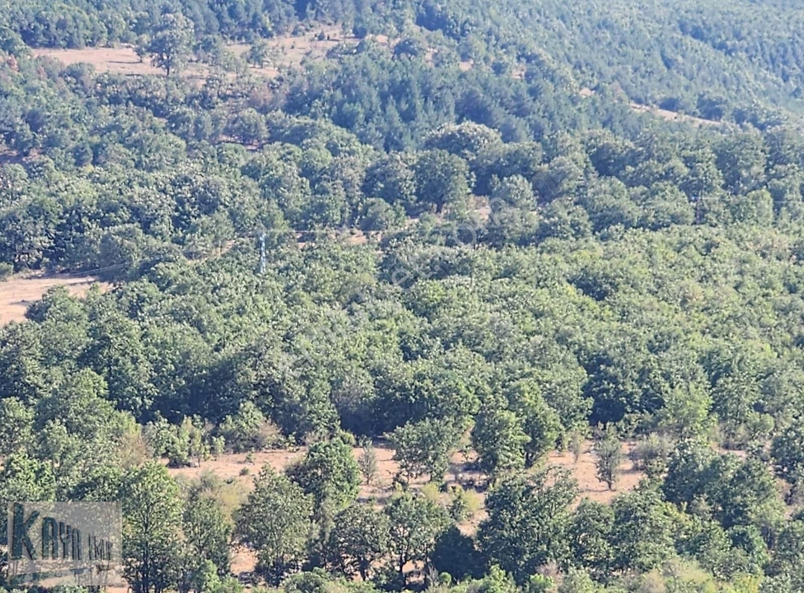 Satılık Çanakkale Yenicede 3247 M2 Güzel Düz Tarla - Görsel 9