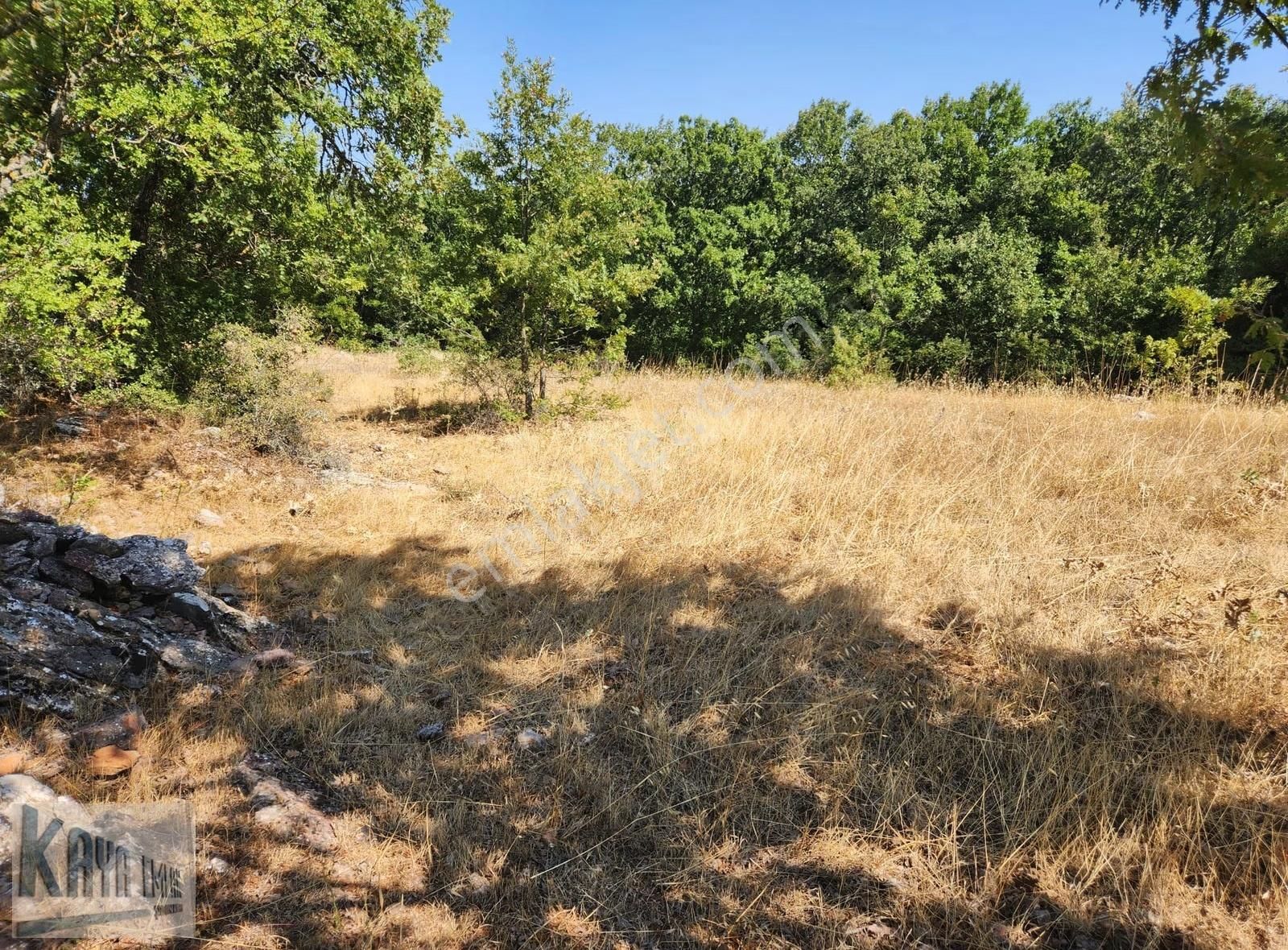 Satılık Çanakkale Yenicede 3247 M2 Güzel Düz Tarla - Görsel 7