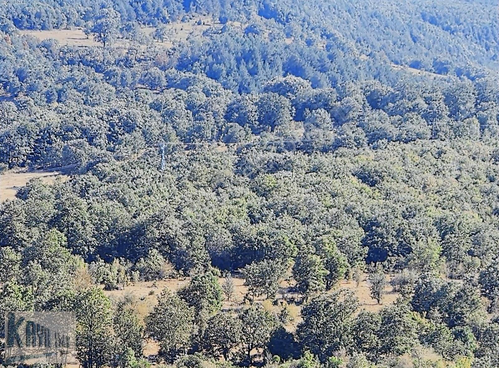 Satılık Çanakkale Yenicede 3247 M2 Güzel Düz Tarla - Görsel 8