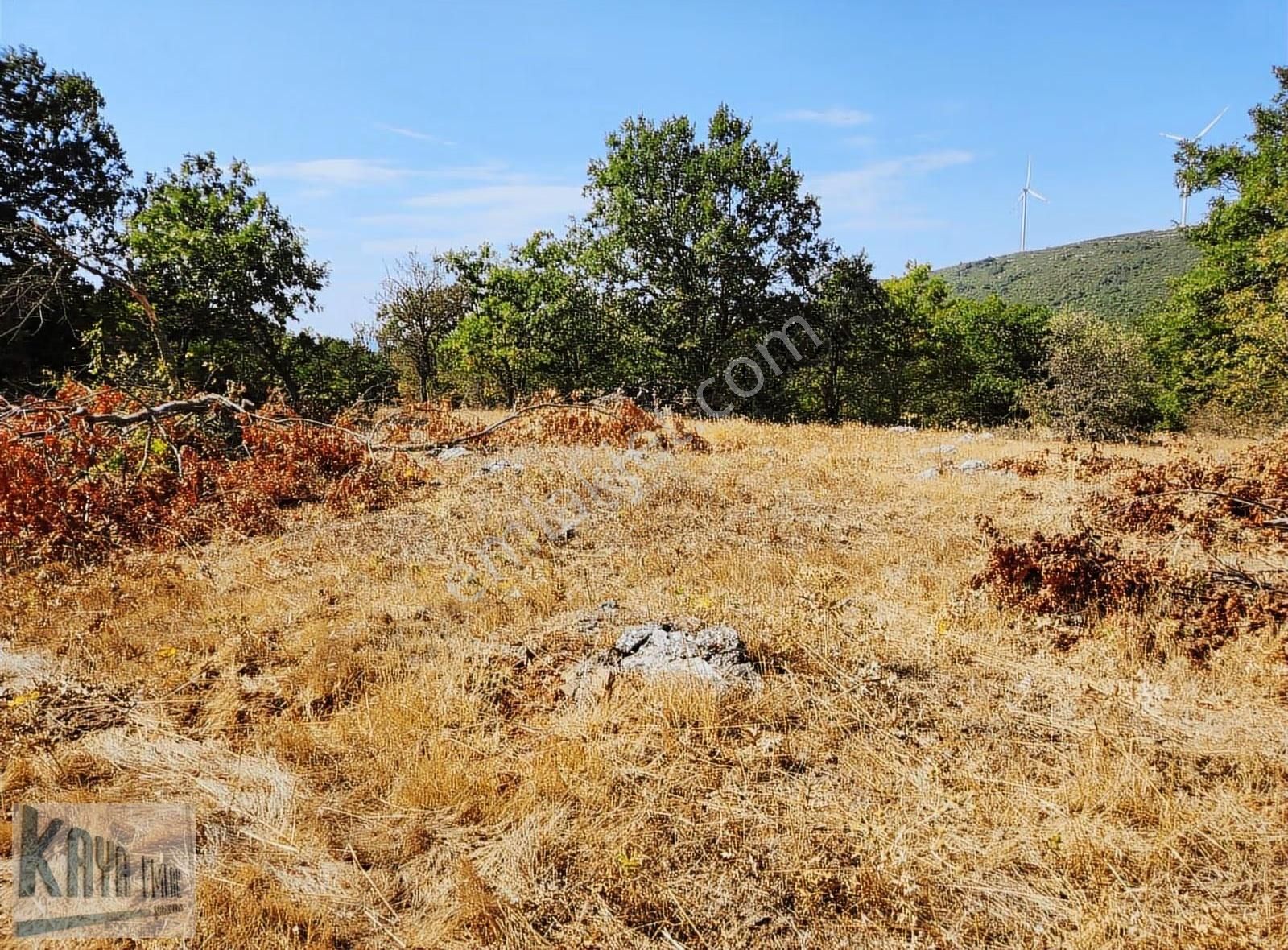 Satılık Çanakkale Yenicede 3247 M2 Güzel Düz Tarla - Görsel 5