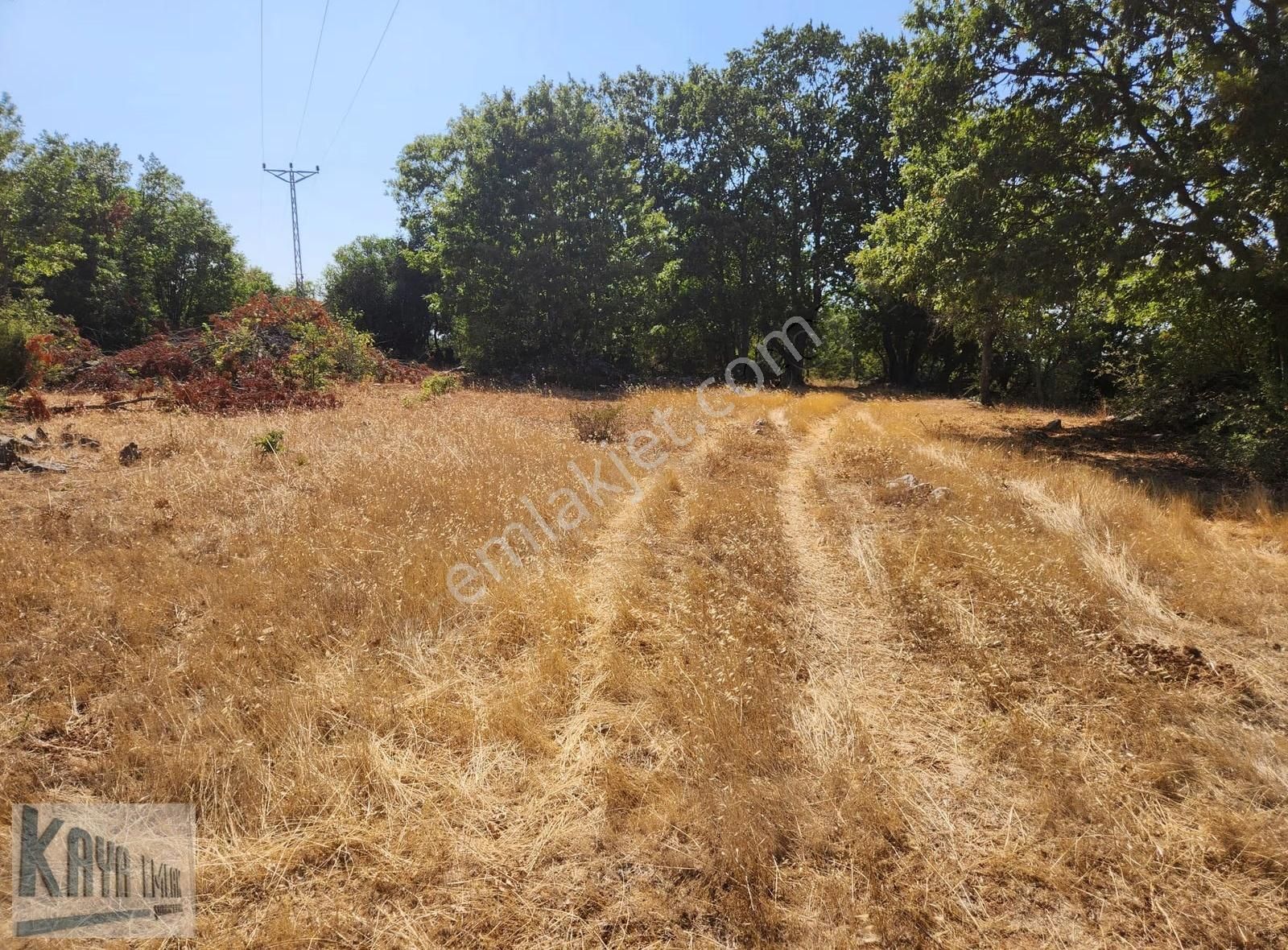 Satılık Çanakkale Yenicede 3247 M2 Güzel Düz Tarla - Görsel 6