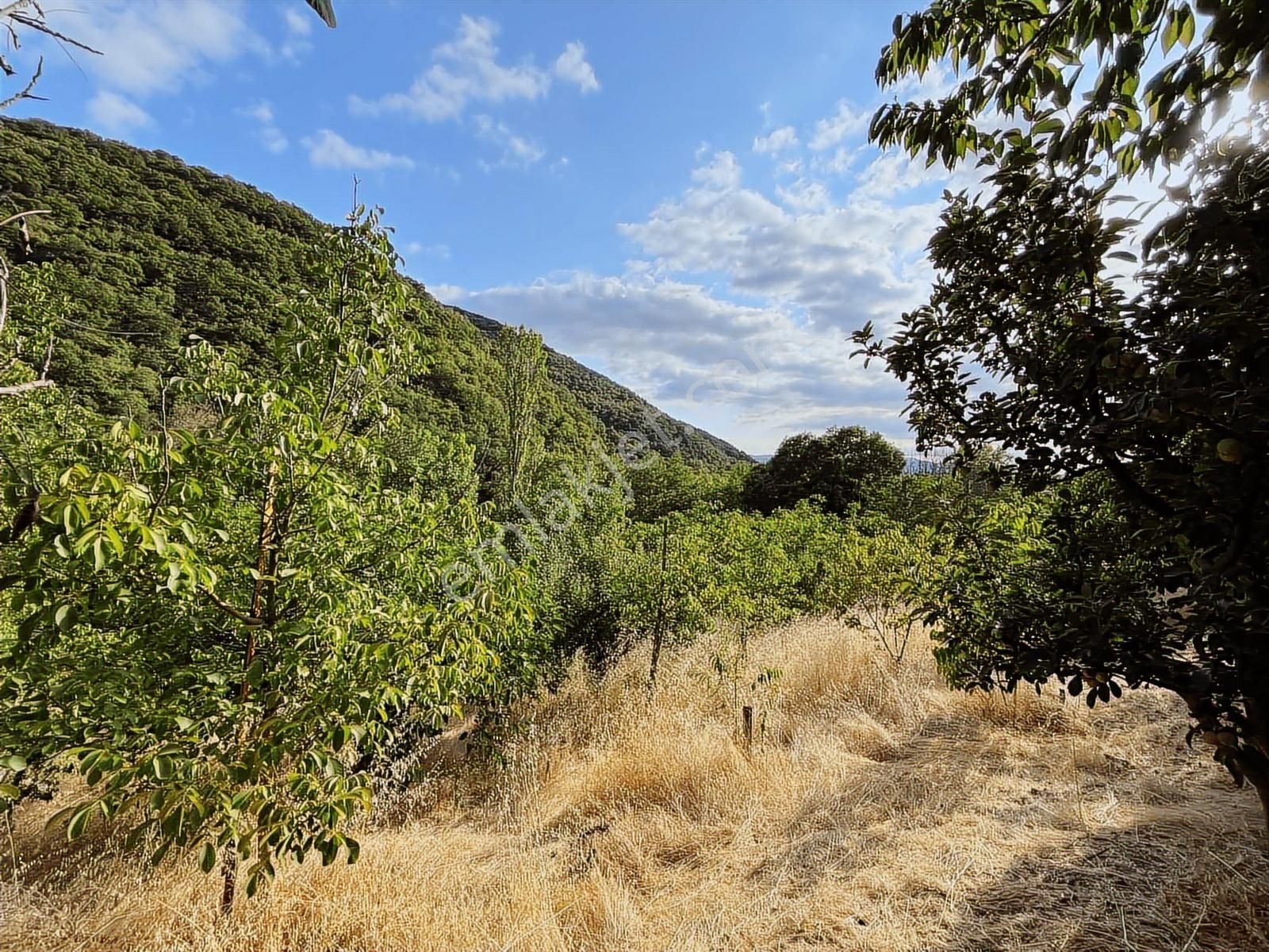 Karamürsel Avcıköy'de 7 Dönüm Arazi İçerisinde Müstakil Ev - Görsel 29