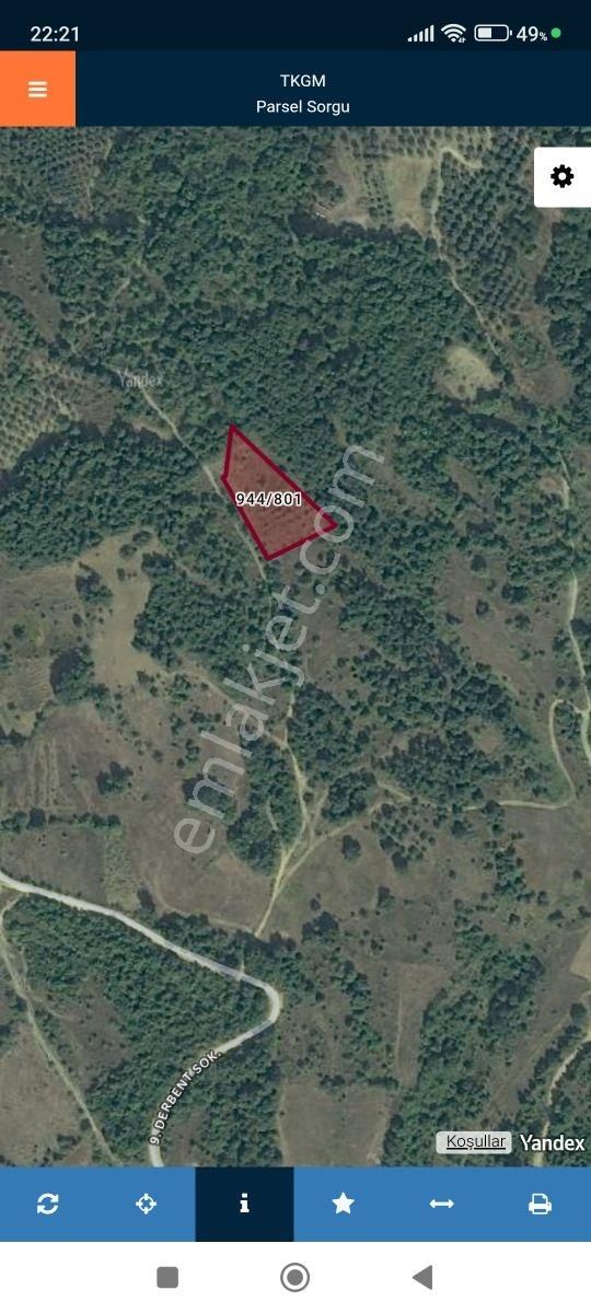 İznik Derbent Tek Kadastro Yoluna Cephe Satılık Tarla - Görsel 9