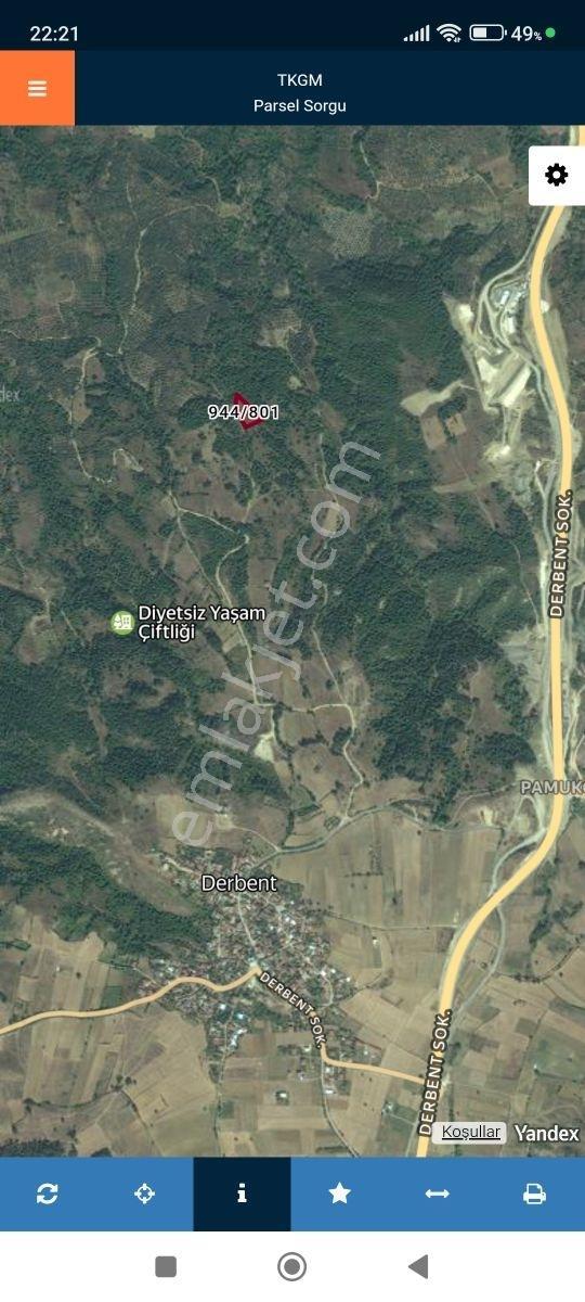 İznik Derbent Tek Kadastro Yoluna Cephe Satılık Tarla - Görsel 9