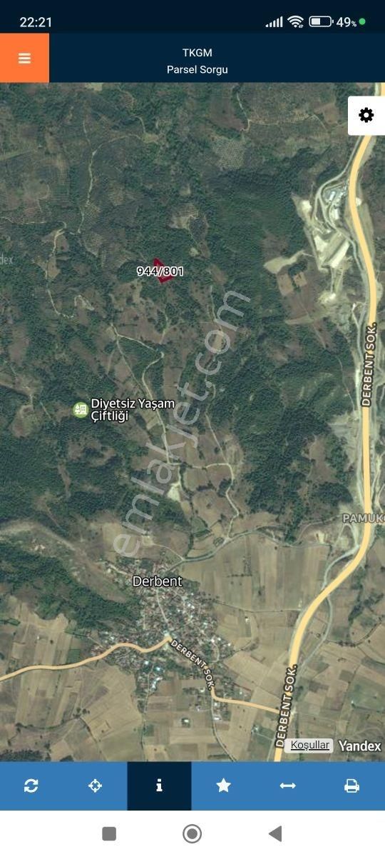 İznik Derbent Tek Kadastro Yoluna Cephe Satılık Tarla - Görsel 13
