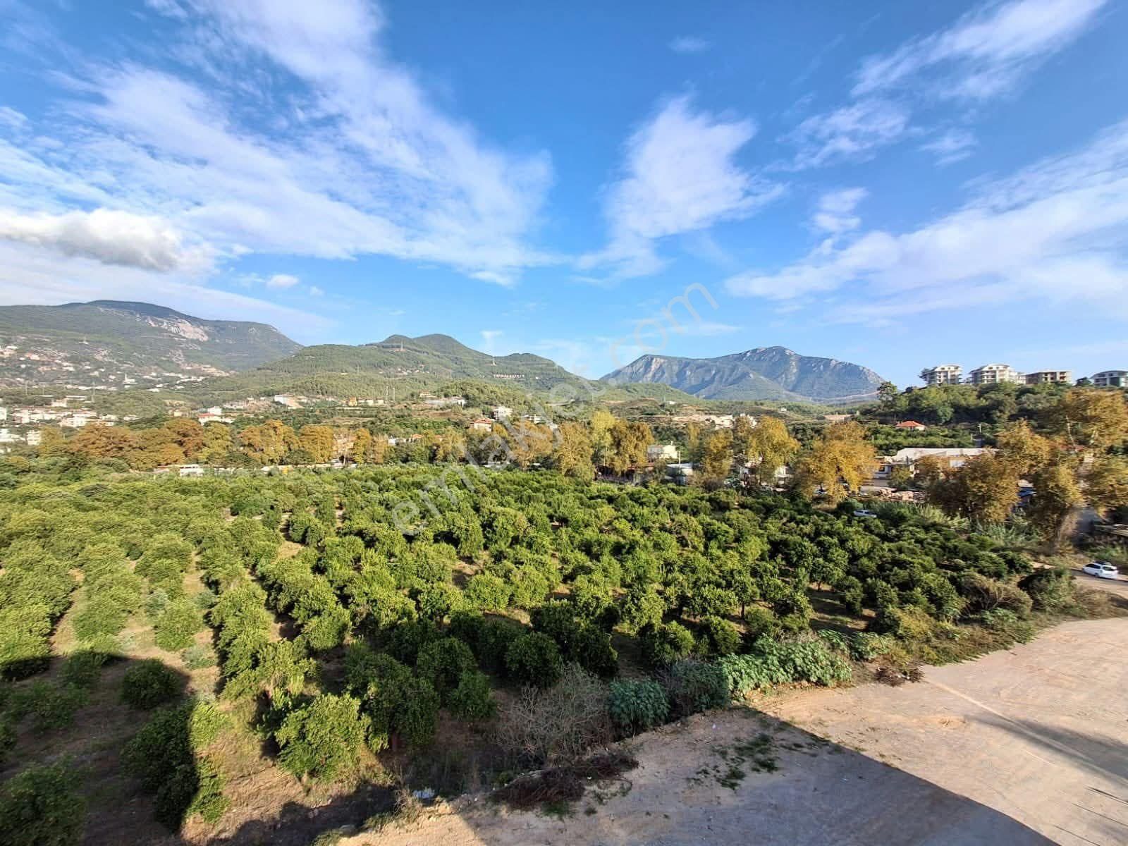 Satılık 4+1 Dubleks Oba // Çarşamba - Görsel 16