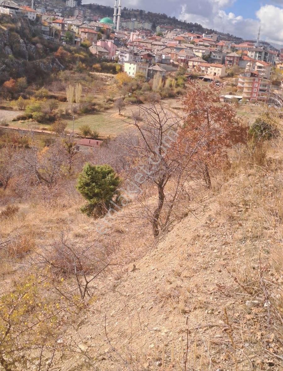 Konya Beyşrhir Üzümlü De 945m Yeri Yerleşime Çok Yakın - Görsel 4