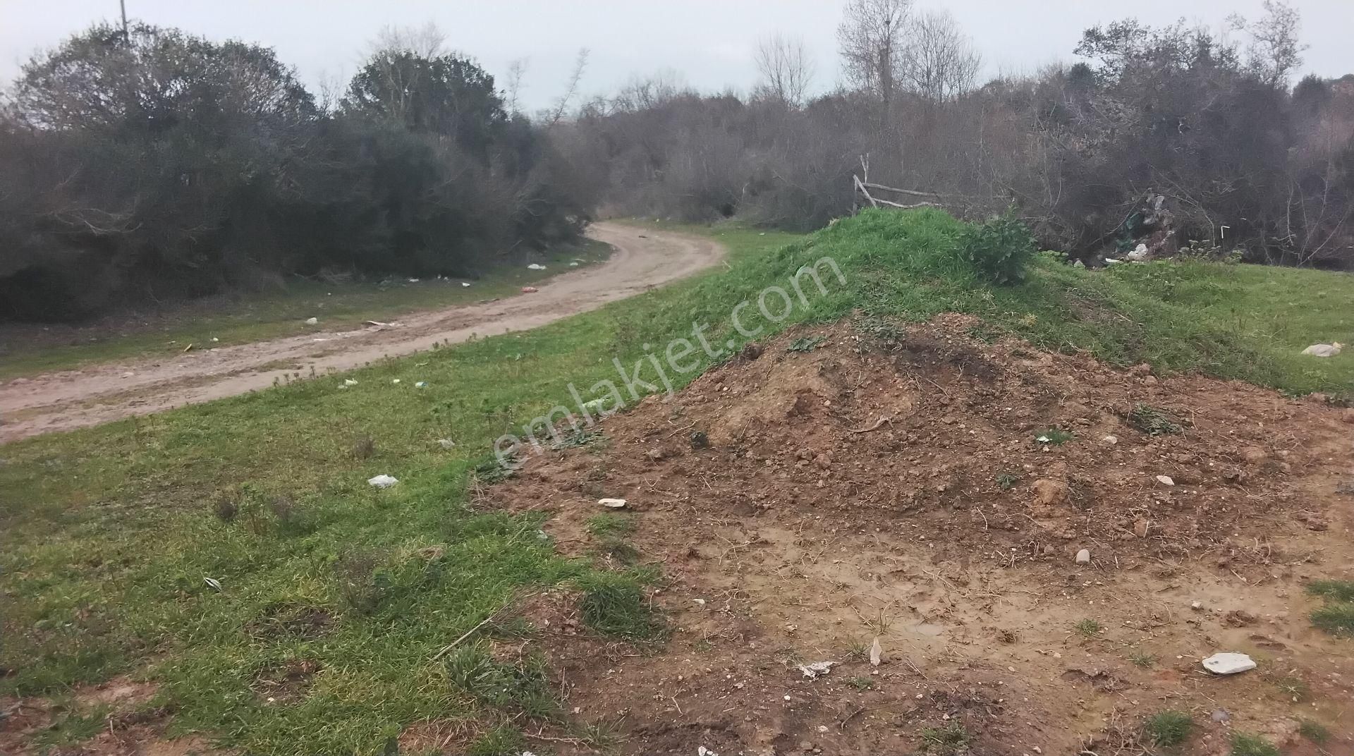 İmar Dibinde, Sahile Ve Otoyola Yakın. - Görsel 2