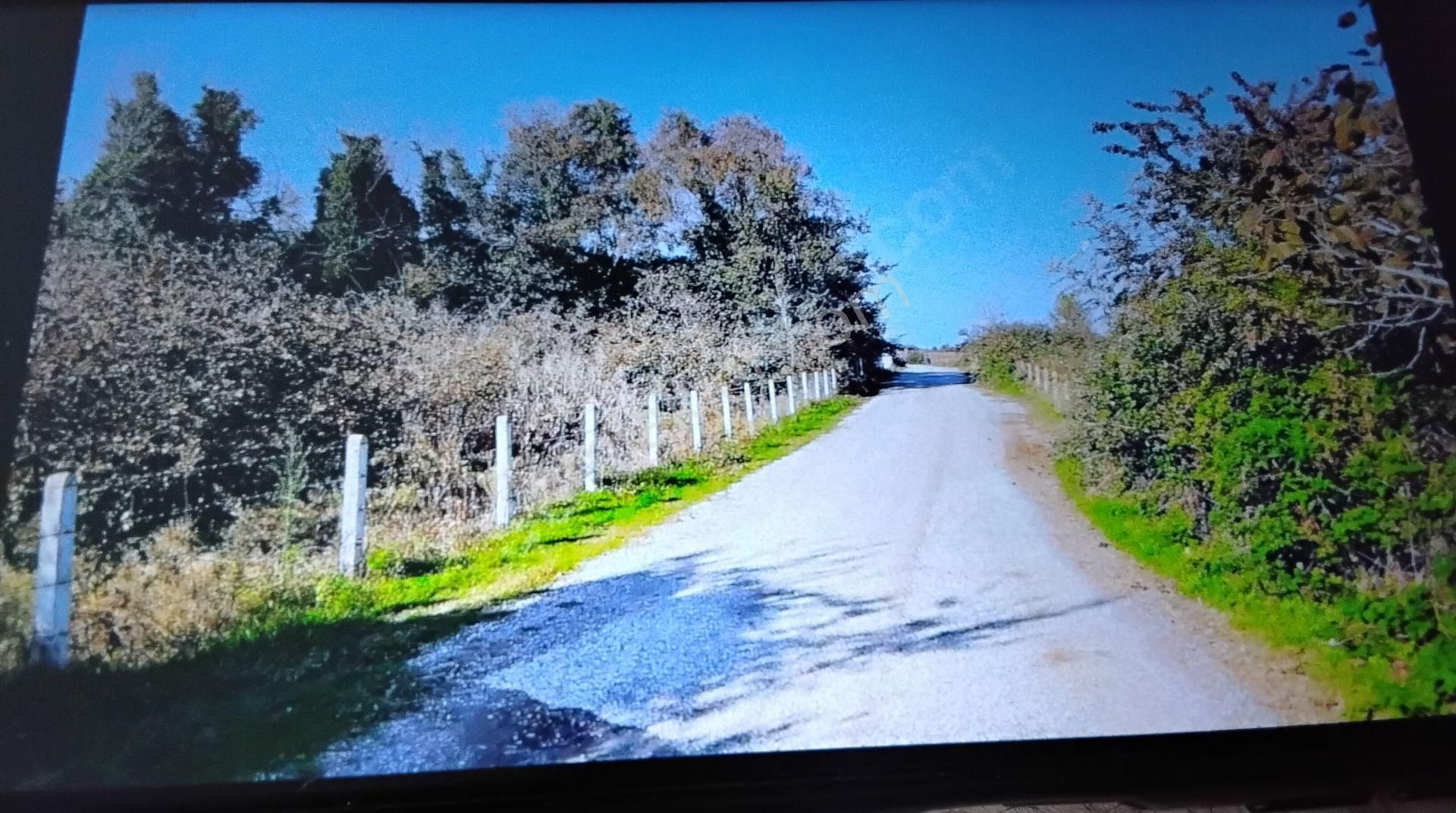 İmar Dibinde, Sahile Ve Otoyola Yakın.