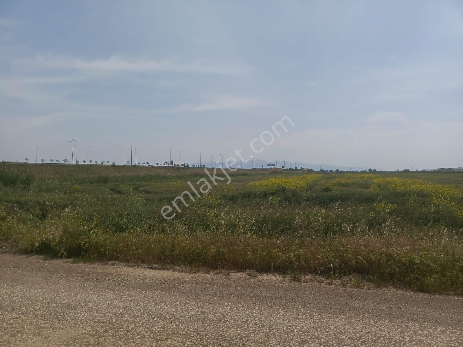 Çiğli Sasalı Ve Kaklıç Da Bulunan Geniş Arazi Fırsatı! Doğru Yatırım, Doğru Zamanda Yapılır! - Görsel 4