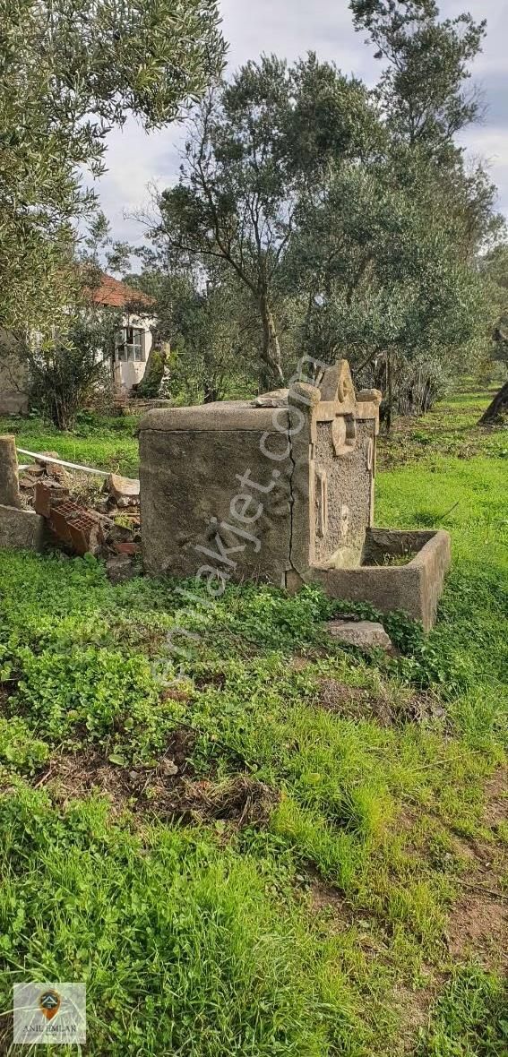 Anıl Emlak'tan Mudanya Trilye Halilbey'de 2006 M2 Müs. Zeytinlik - Görsel 21