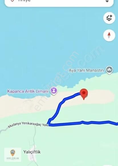 Anıl Emlak'tan Mudanya Trilye Halilbey'de 2977 M2 Müs. Zeytinlik