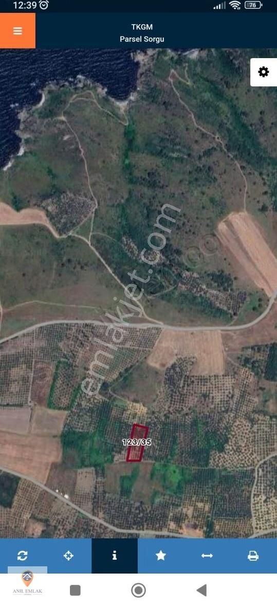 Anıl Emlak'tan Mudanya Trilye Halilbey'de 2977 M2 Müs. Zeytinlik - Görsel 8