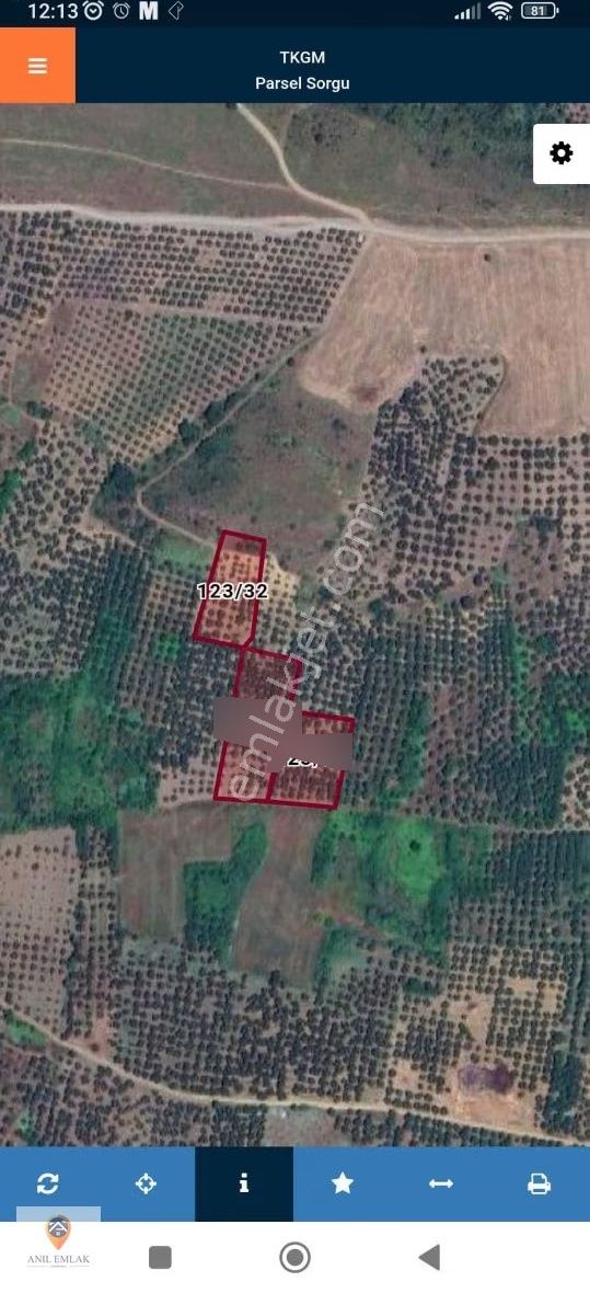 Anıl Emlak'tan Mudanya Trilye Halilbey'de 2249 M2 Müs. Zeytinlik - Görsel 12