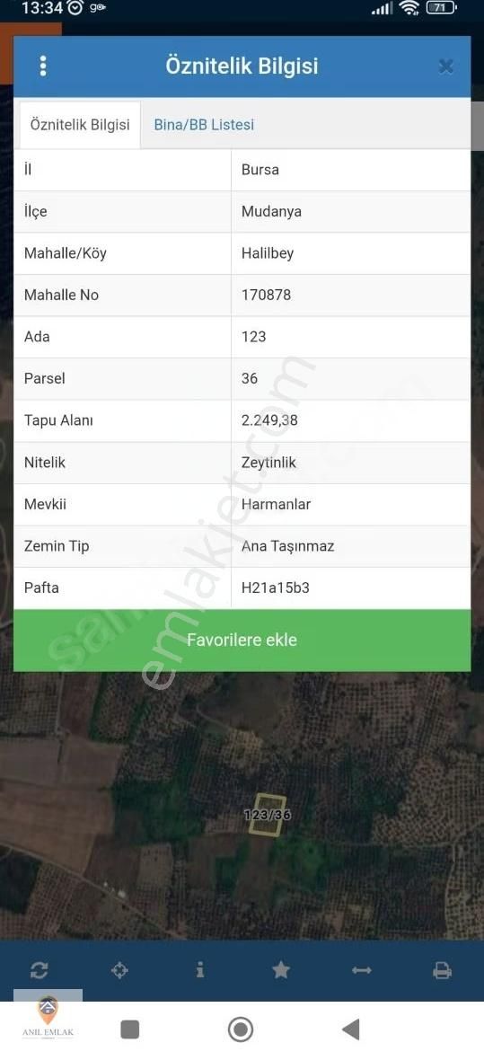 Anıl Emlak'tan Mudanya Trilye Halilbey'de 2249 M2 Müs. Zeytinlik