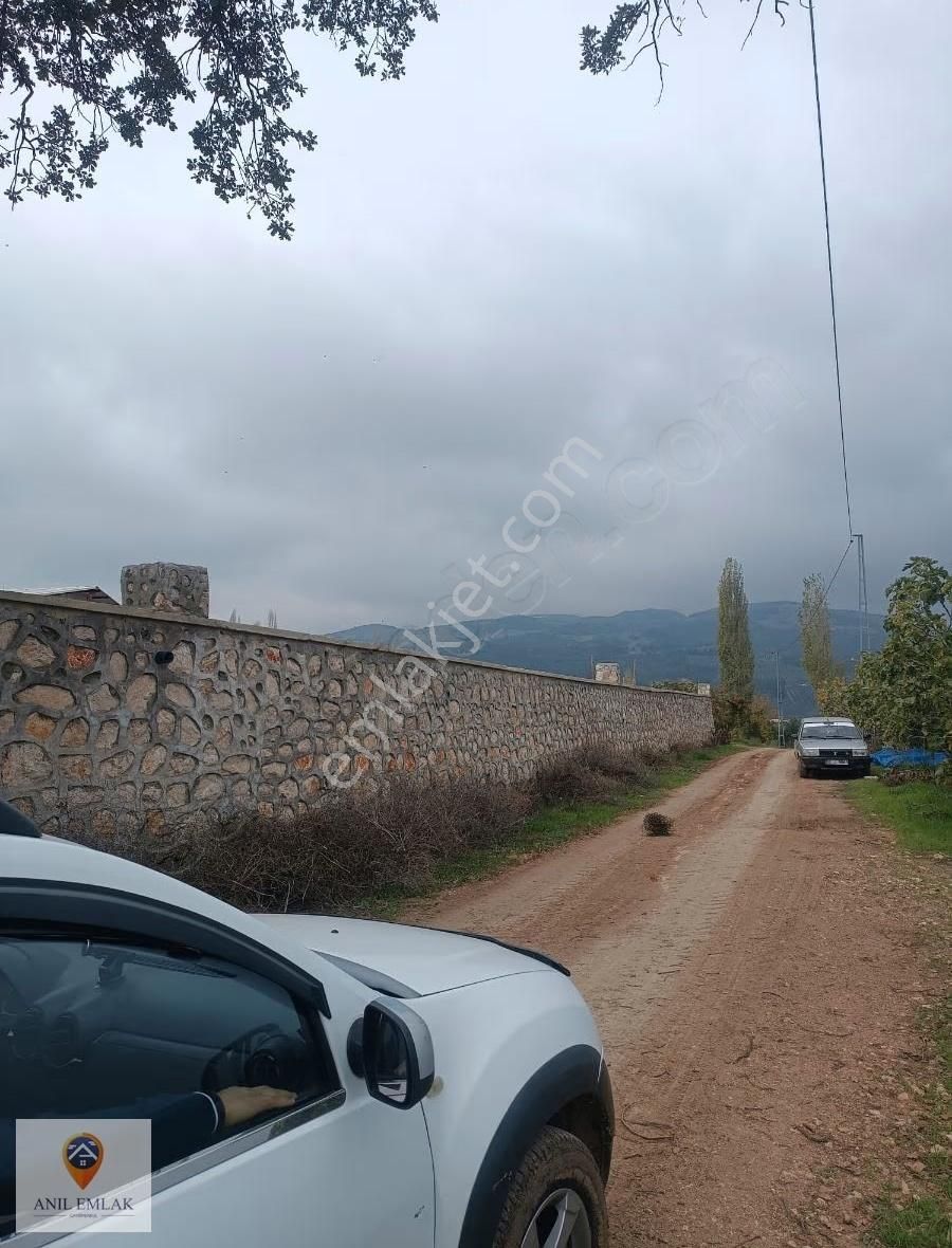 Anıl Emlak'tan Mudanya Işıklı'da 3769 M2 Müstakil Tapu Zeytinlik - Görsel 9