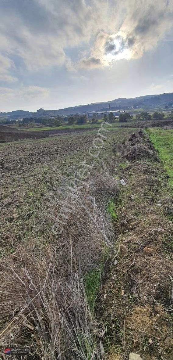 Lojistik Fabrika İnşaat Ruhsatı Alınmış Satılık Arsa - Görsel 4