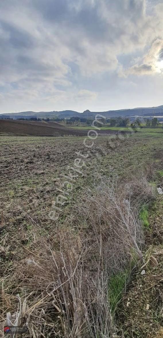 Lojistik Fabrika İnşaat Ruhsatı Alınmış Satılık Arsa - Görsel 3