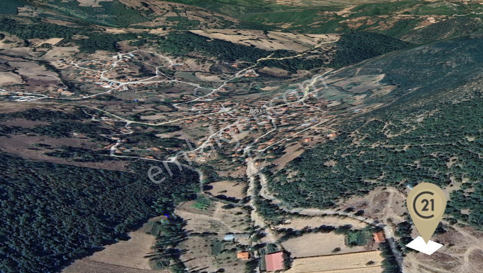 Century21 Bal Dan Kepsut Gökköy'de İmarlı Arsa - Görsel 2