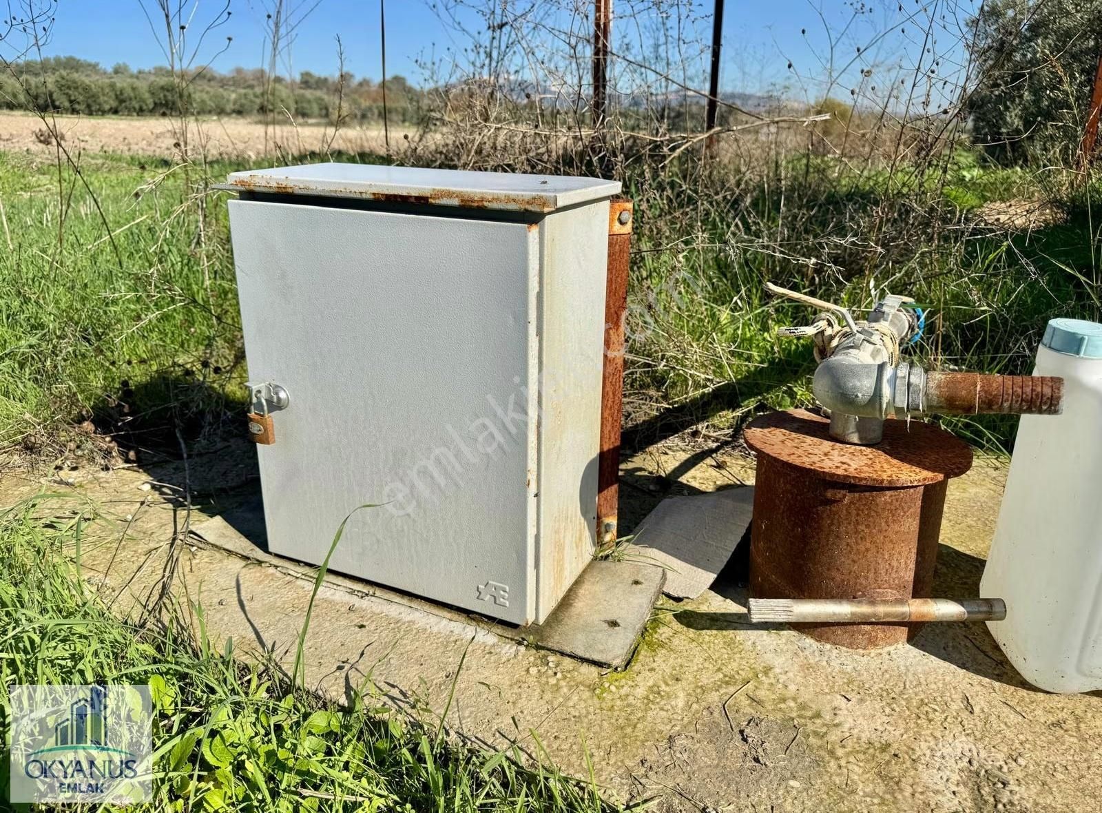 Kalemli De 12.400 M2 Zeytinlik, Elektrik+ Su+ Yer Altı Damlama - Görsel 8