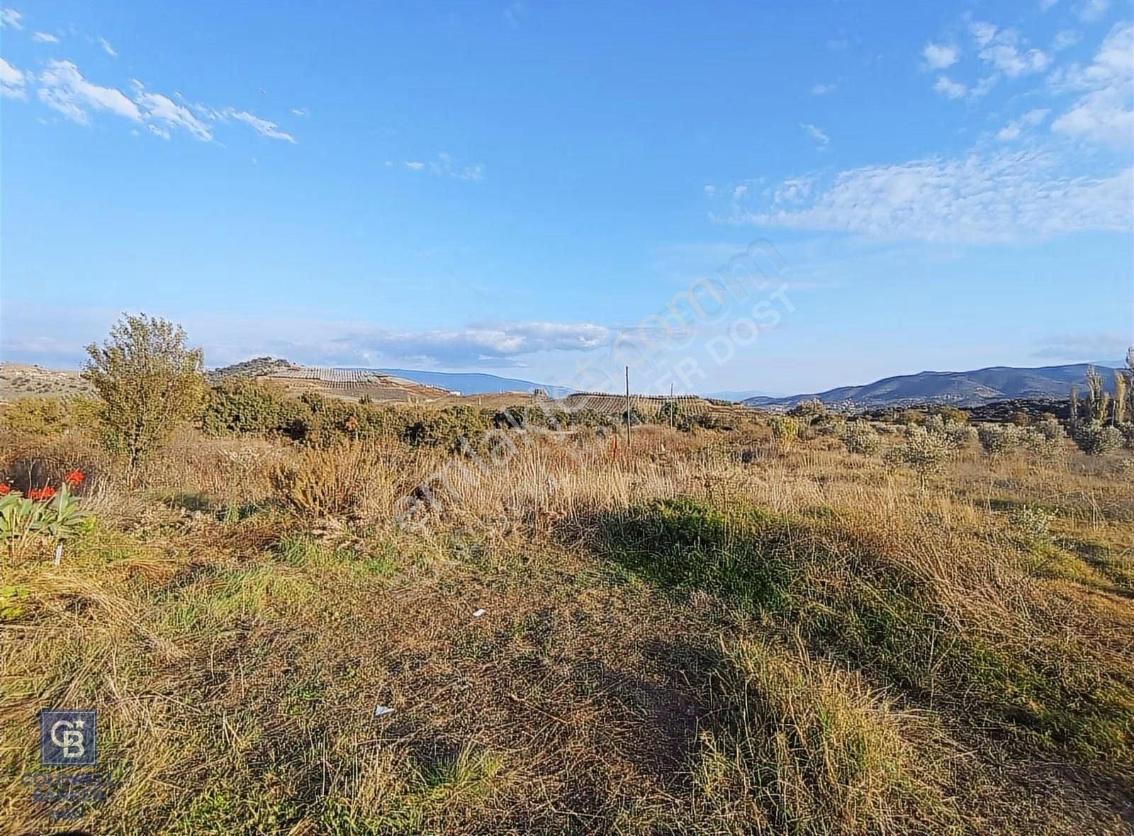 Aydın Çine Saraçlar'da Meralık Yatırım Fırsatı