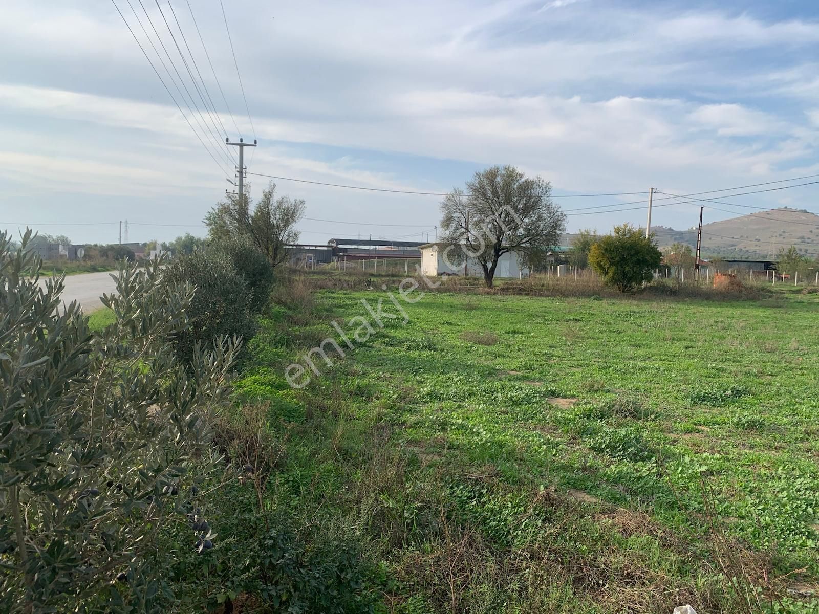 My Home Gayrimenkul'den Bayındır Pınarlı Mahallesinde Satılık Tarla - Görsel 4