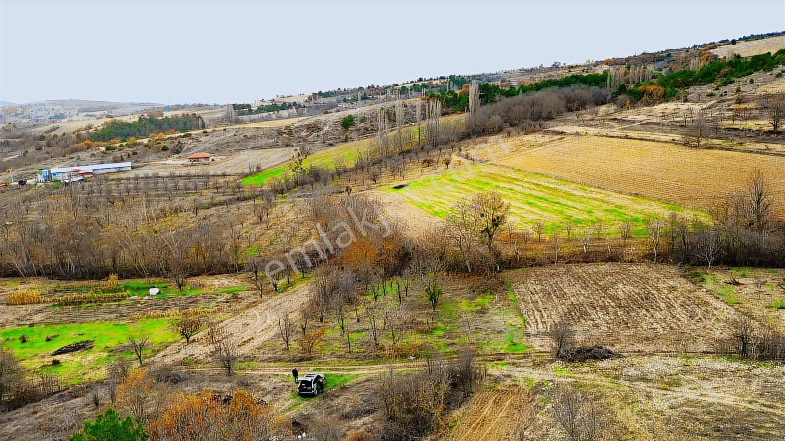 Sakarya Taraklı Akçapınar Köy İçi İmarlı Yapı Yapılabilir - Görsel 16
