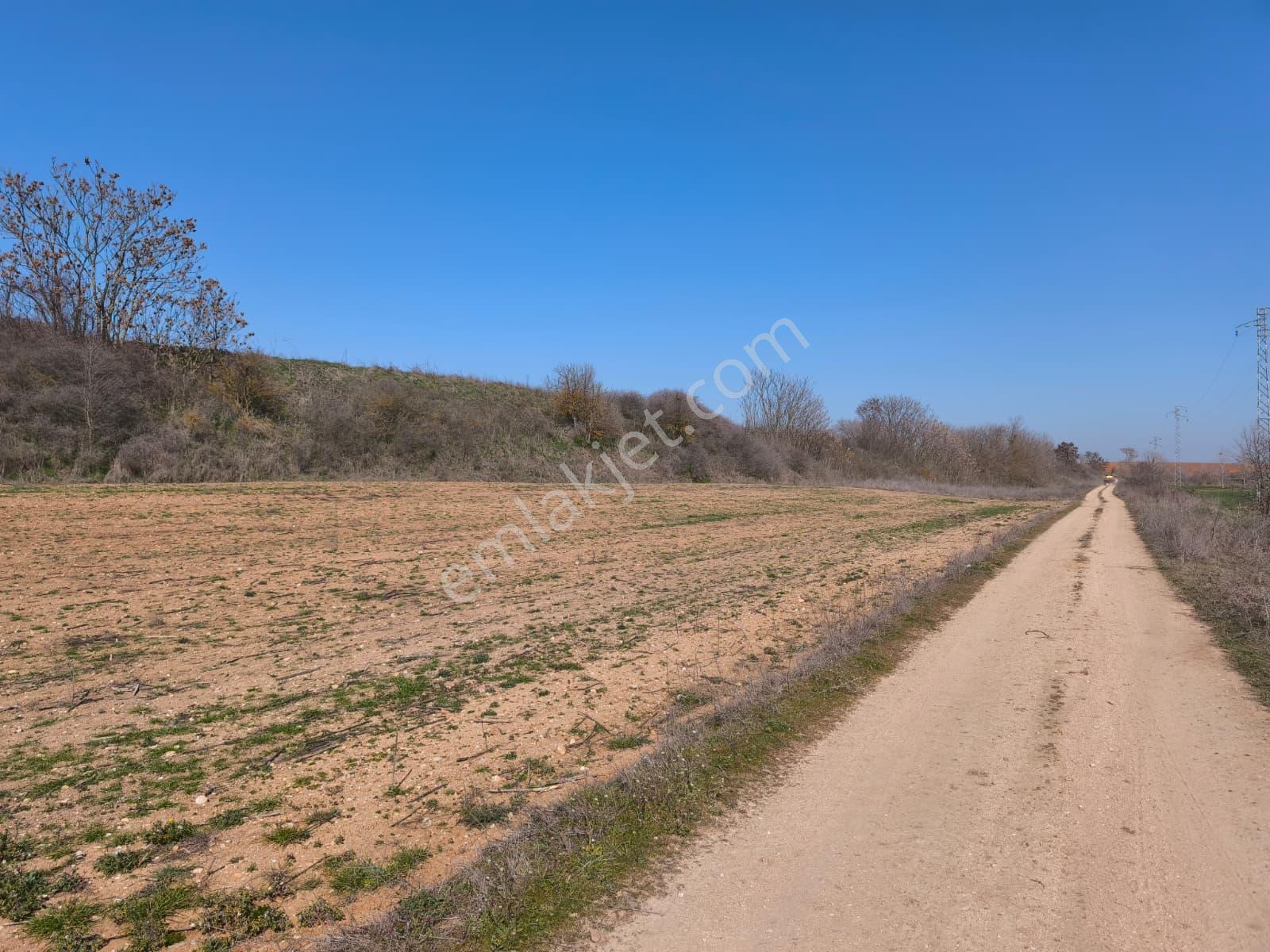 Edirne Mükemmel Konumda - Görsel 9
