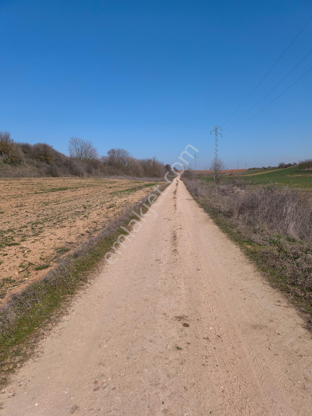 Edirne Mükemmel Konumda - Görsel 14